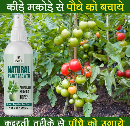 Natural Plant Growth Stimulant for Plants
