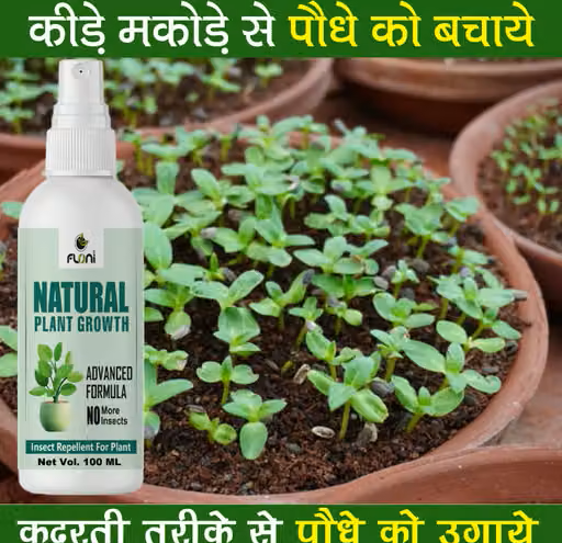 Natural Plant Growth Stimulant for Plants