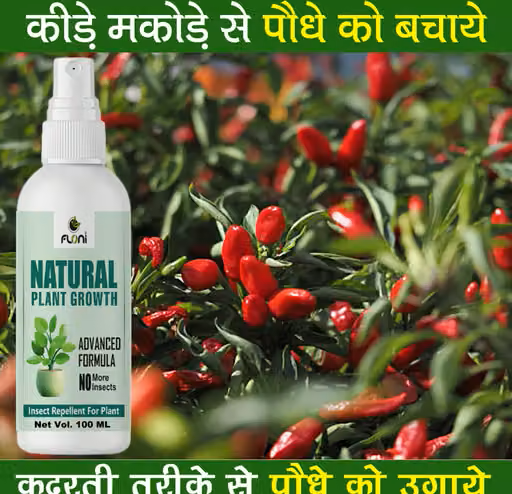 Natural Plant Growth Stimulant for Plants