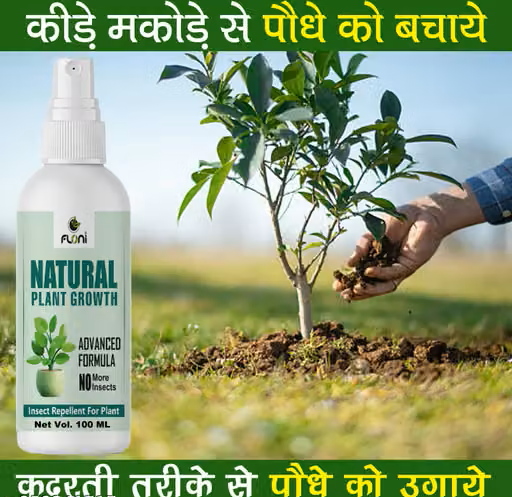 Natural Plant Growth Stimulant for Plants